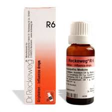 Dr. Reckeweg R6 Influenza Drops