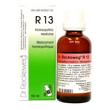 Dr. Reckeweg R13 Piles Drops