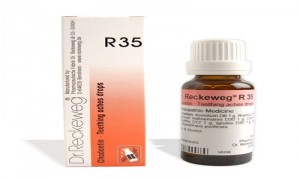 Dr. Reckeweg R35 Teething Aches Drops