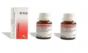 Dr. Reckeweg R55 Injuries, healing Drops