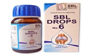 SBL DROPS No. 6 for Joint Pain